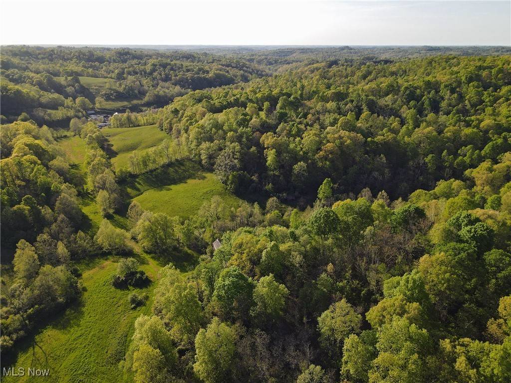 Belleville, WV 26133,1429 Willow Run RD