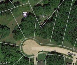 Painesville, OH 44077,230 Michael CT