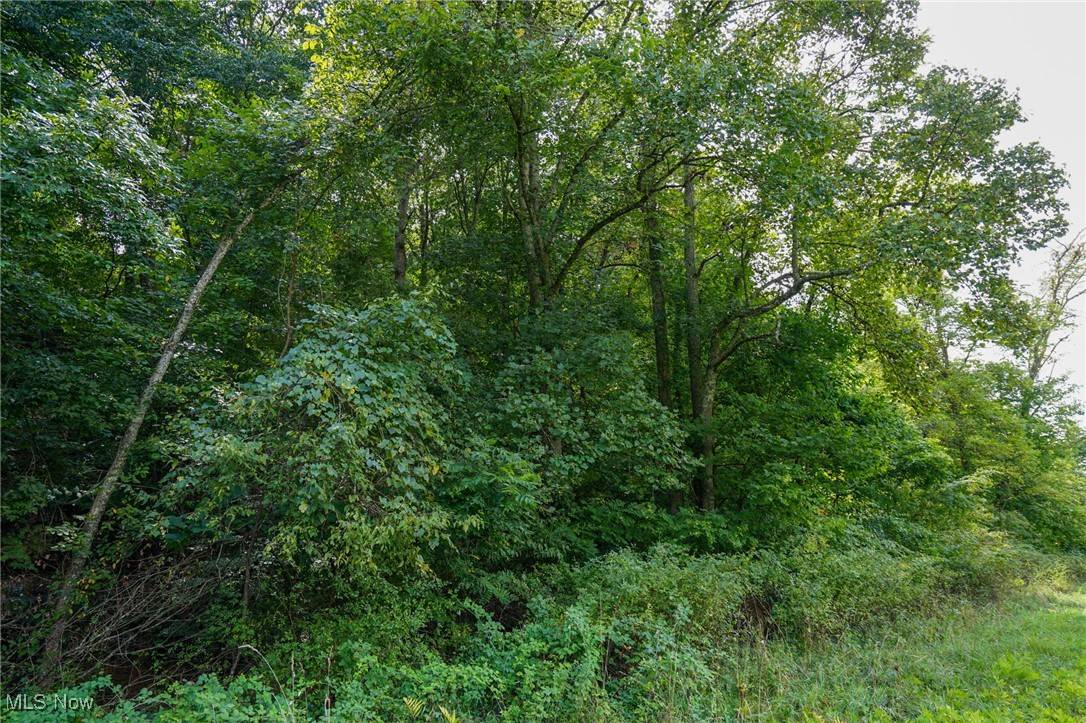 Roseville, OH 43777,Rider Rd
