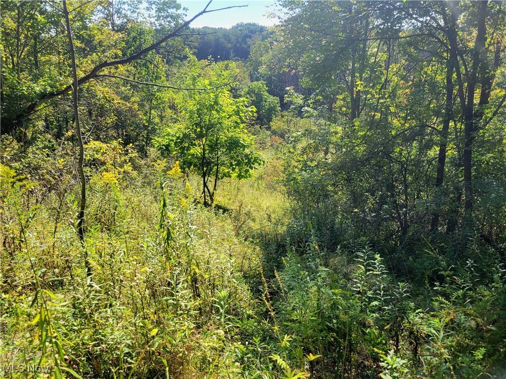Chagrin Falls, OH 44022,North ST
