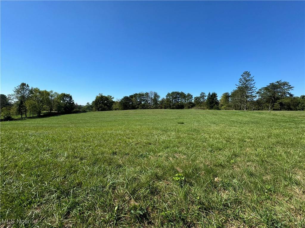 Vincent, OH 45784,Brackenridge RD