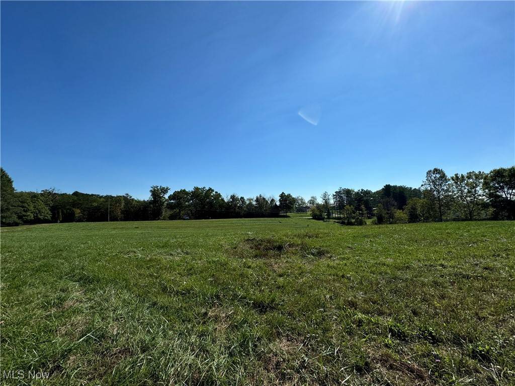 Vincent, OH 45784,Brackenridge RD