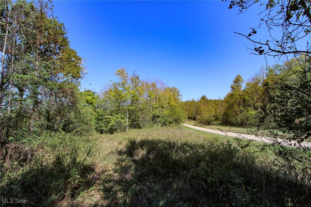 Marietta, OH 45750,Lot 4 Moss Run RD