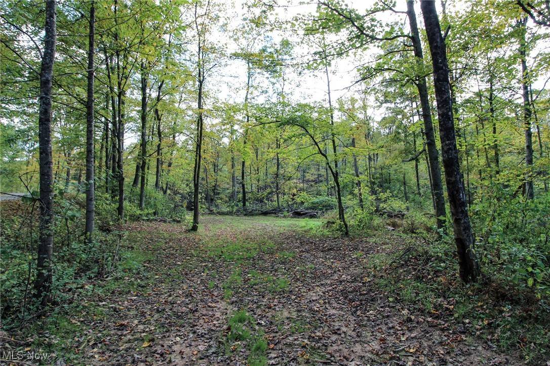 Marietta, OH 45750,Cow Run RD