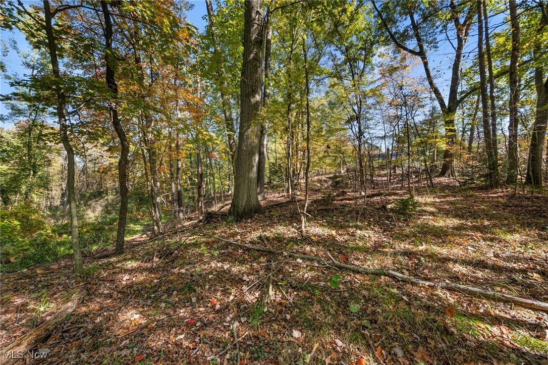 Clinton, OH 44216,W Comet RD
