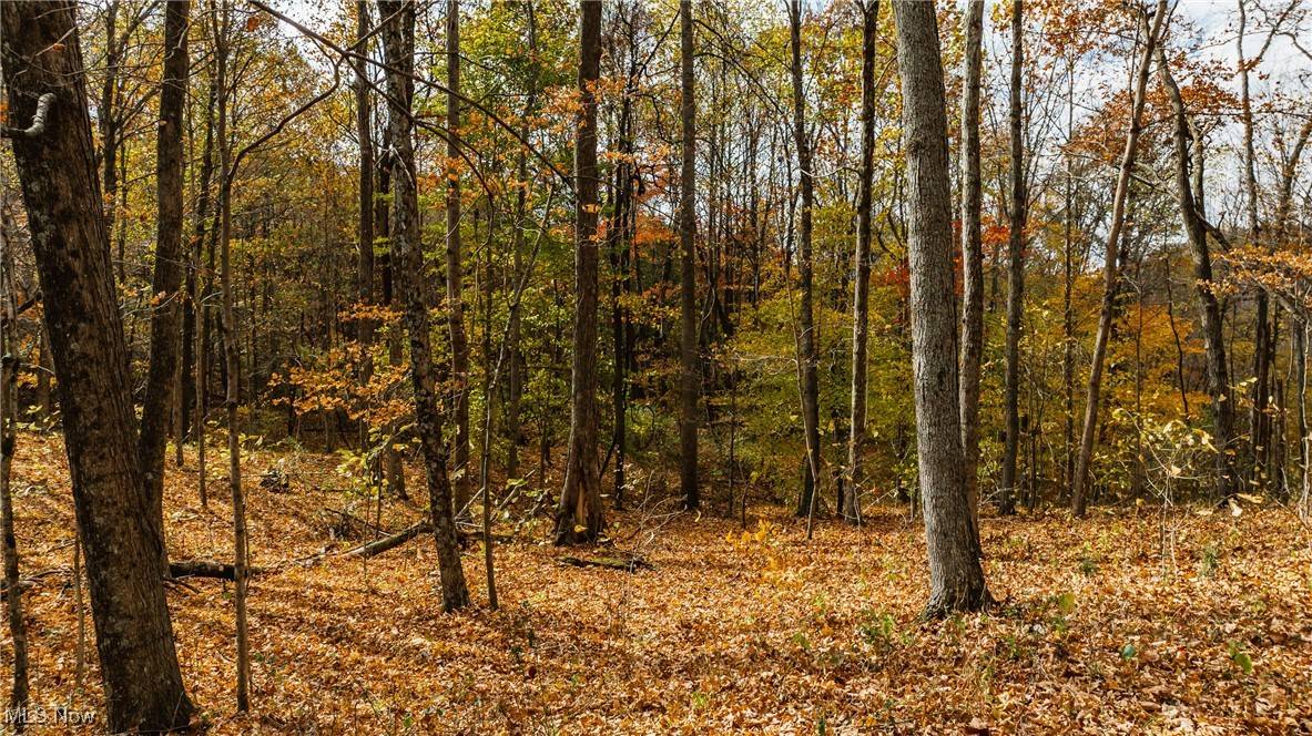 Elizabeth, WV 26143,0 Chestnut Run RD
