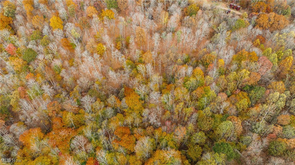 Elizabeth, WV 26143,0 Chestnut Run RD