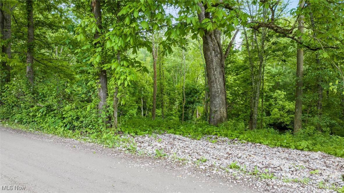 Lore City, OH 43755,16182 Gunn RD