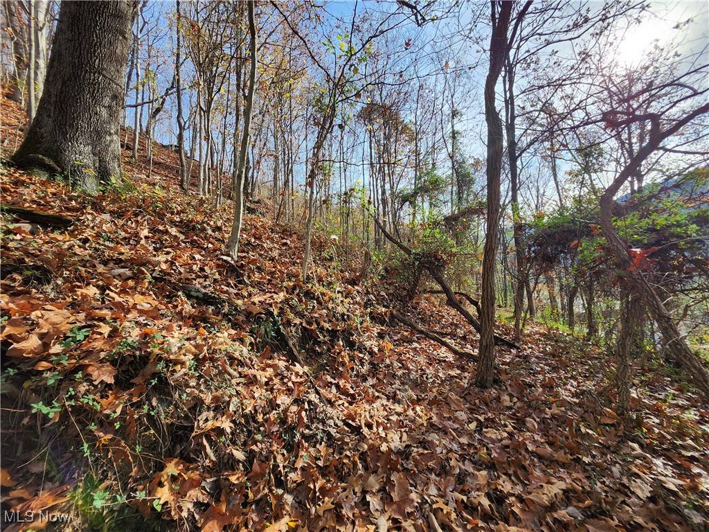 Other, WV 25040,8 73 / KANA R HILLS