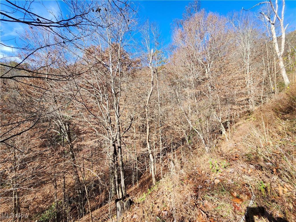 Other, WV 25529,45.64 SF., BIG CR., TRACE; FK