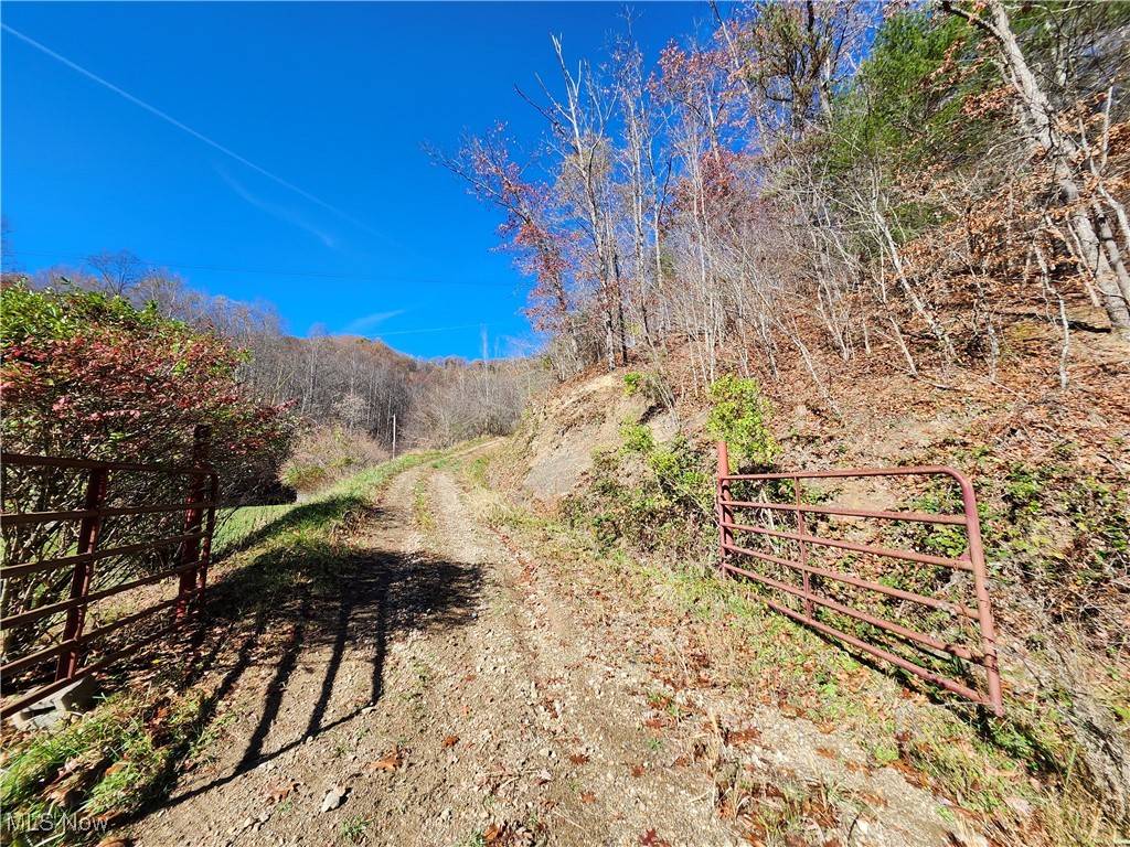 Other, WV 25529,45.64 SF., BIG CR., TRACE; FK