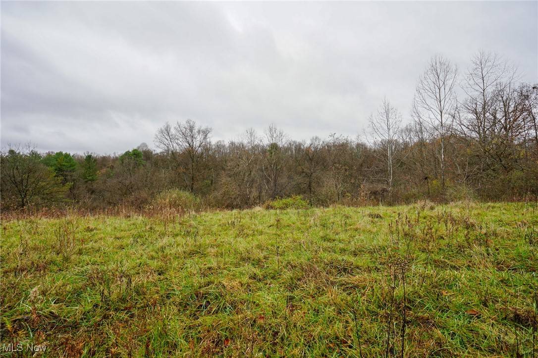 Mcconnelsville, OH 43756,E Hoop Pole Ridge Rd NE