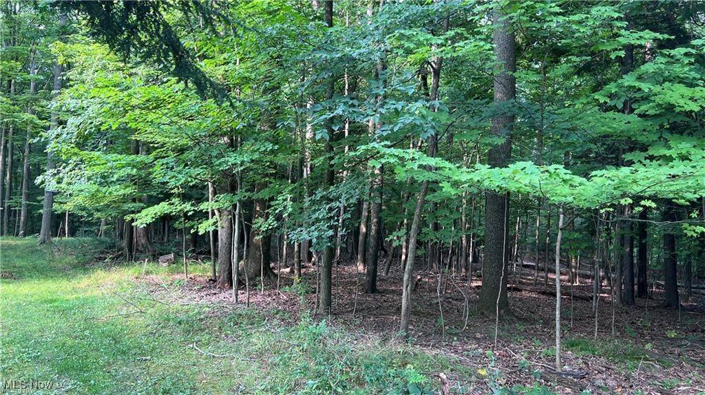 Willoughby Hills, OH 44094,36175 Chardon RD