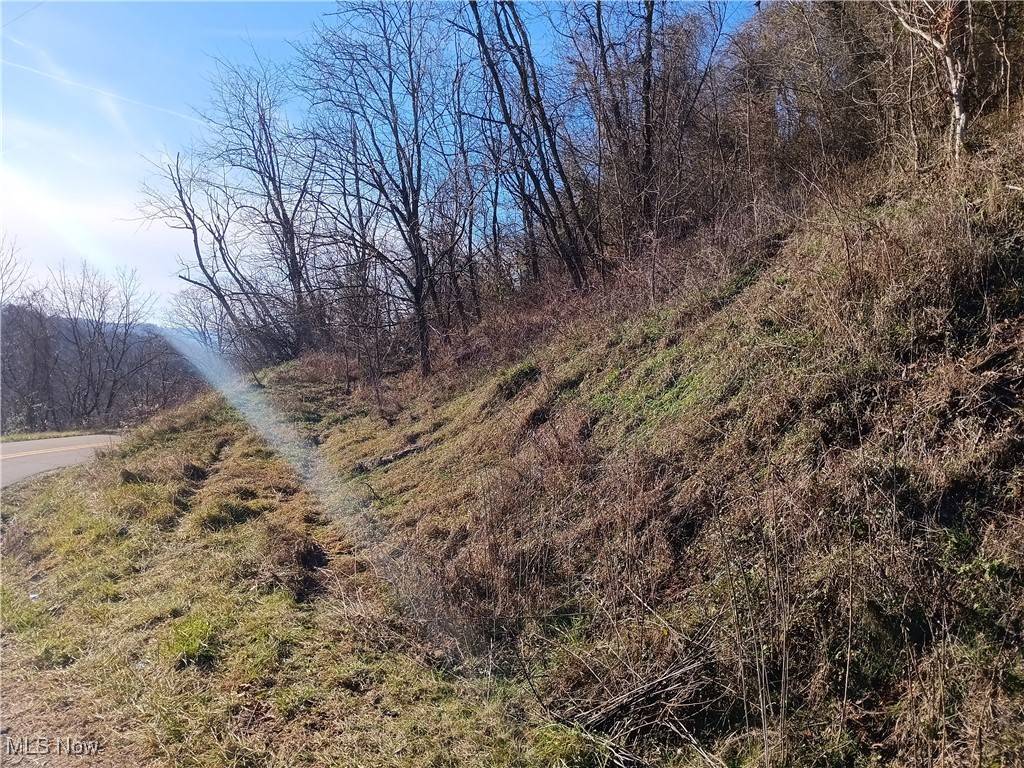 Sistersville, WV 26175,Ohio R Hill Wood ST