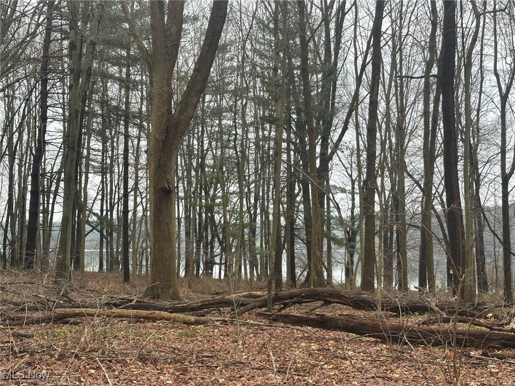 Rootstown, OH 44266,Rootstown RD