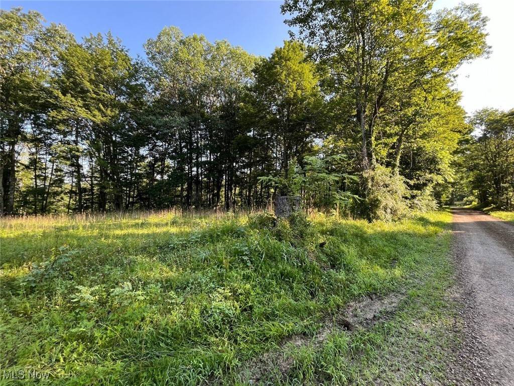 Corning, OH 43730,Tract 4 State Route 155 SE