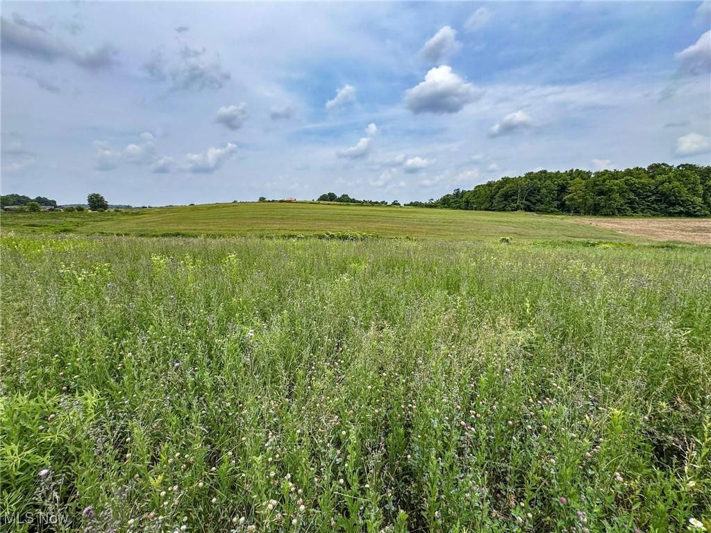 Thornville, OH 43076,Lot 11 Township Road 87