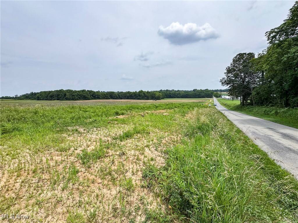 Thornville, OH 43076,Lot 11 Township Road 87