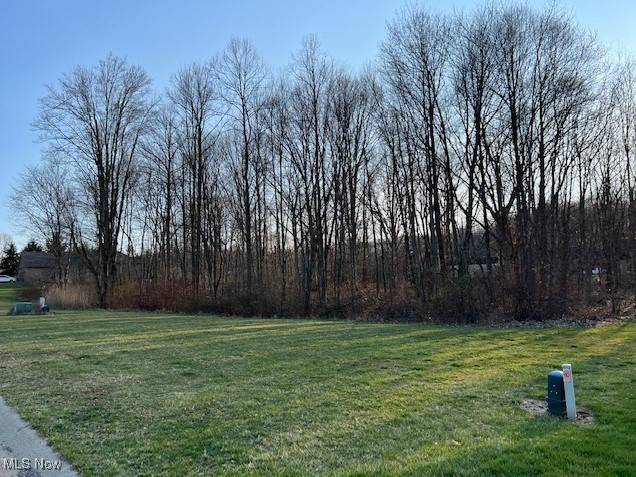 Canton, OH 44706,Birchmont AVE SW