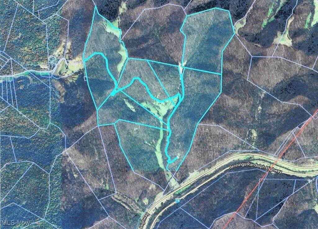 Newton, WV 25266,Blown Timber
