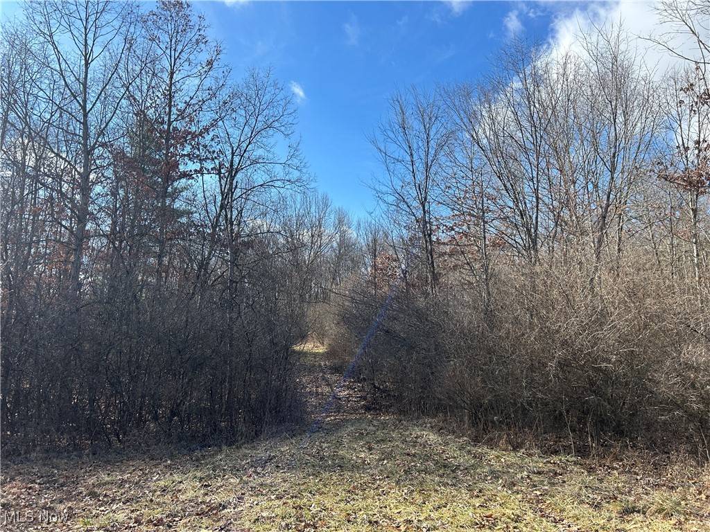 Cumberland, OH 43722,Red Lane