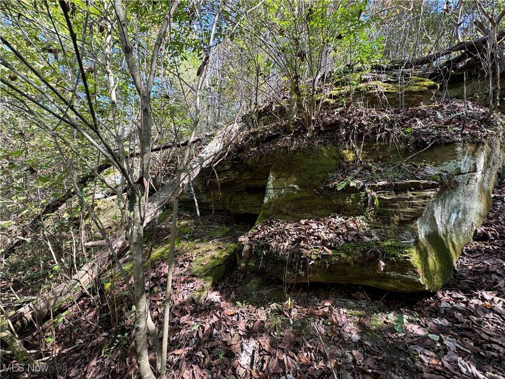 Vincent, OH 45784,Brackenridge RD