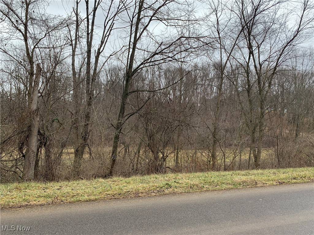 Zanesville, OH 43701,3.92 ac Chapel Hill RD