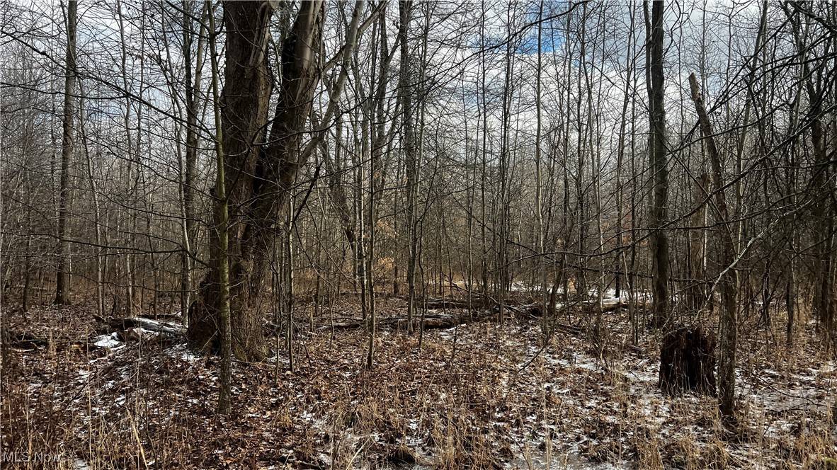 Braceville, OH 44410,Braceville Robinson Rd RD