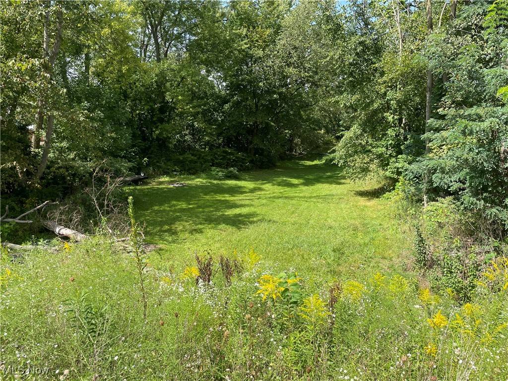 Canal Fulton, OH 44614,156 Cherry ST W
