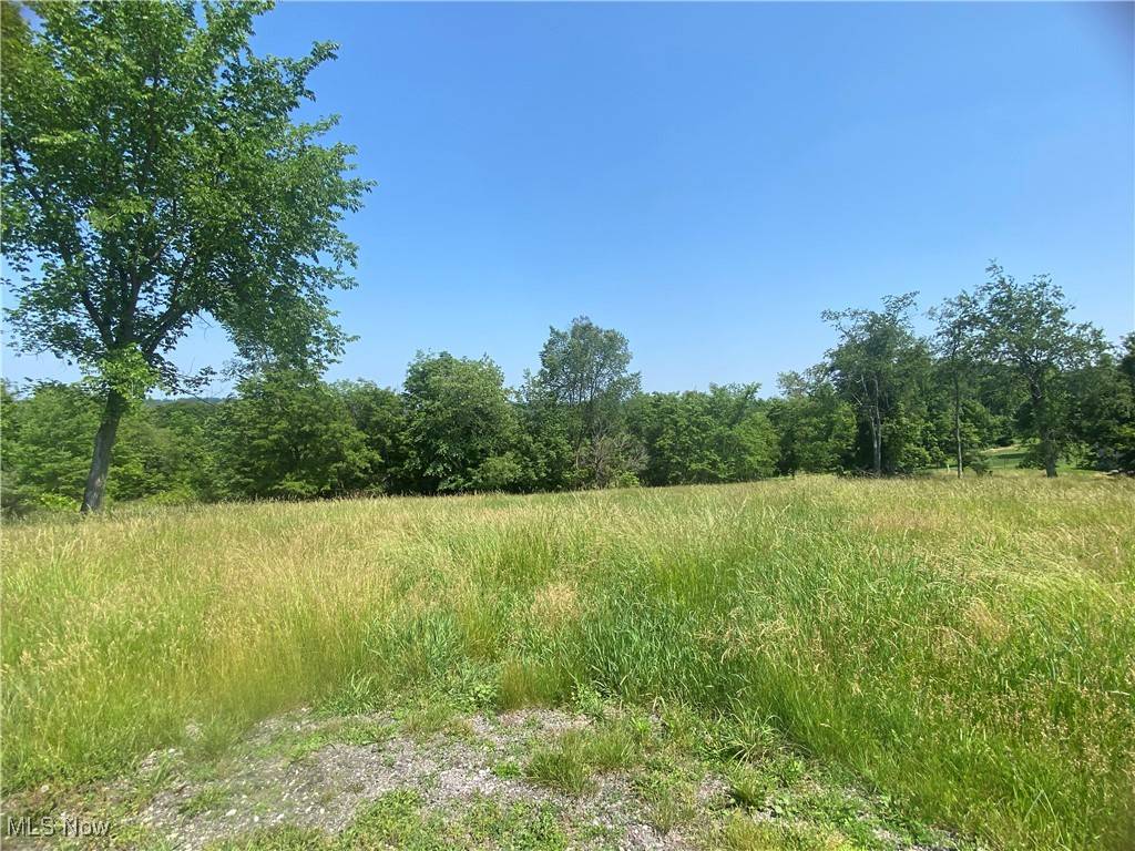 St. Clairsville, OH 43950,71275 Ayers RD