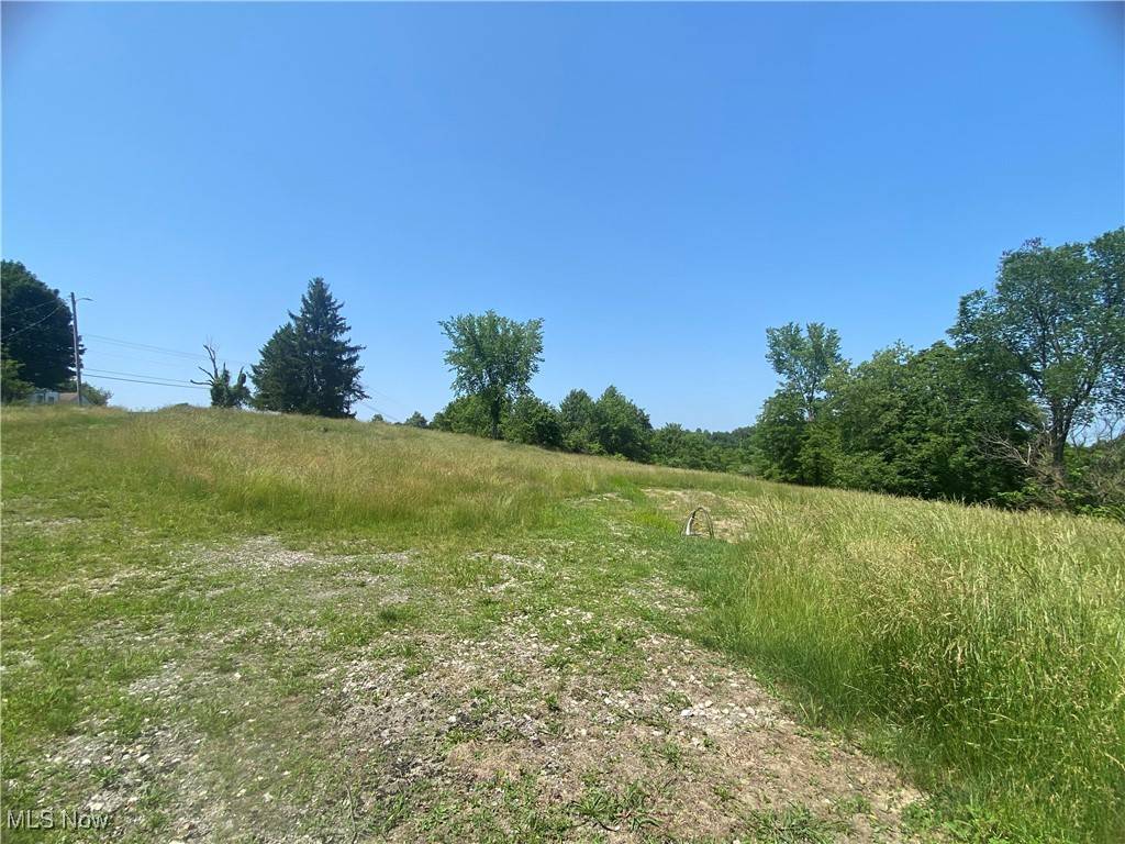 St. Clairsville, OH 43950,71275 Ayers RD