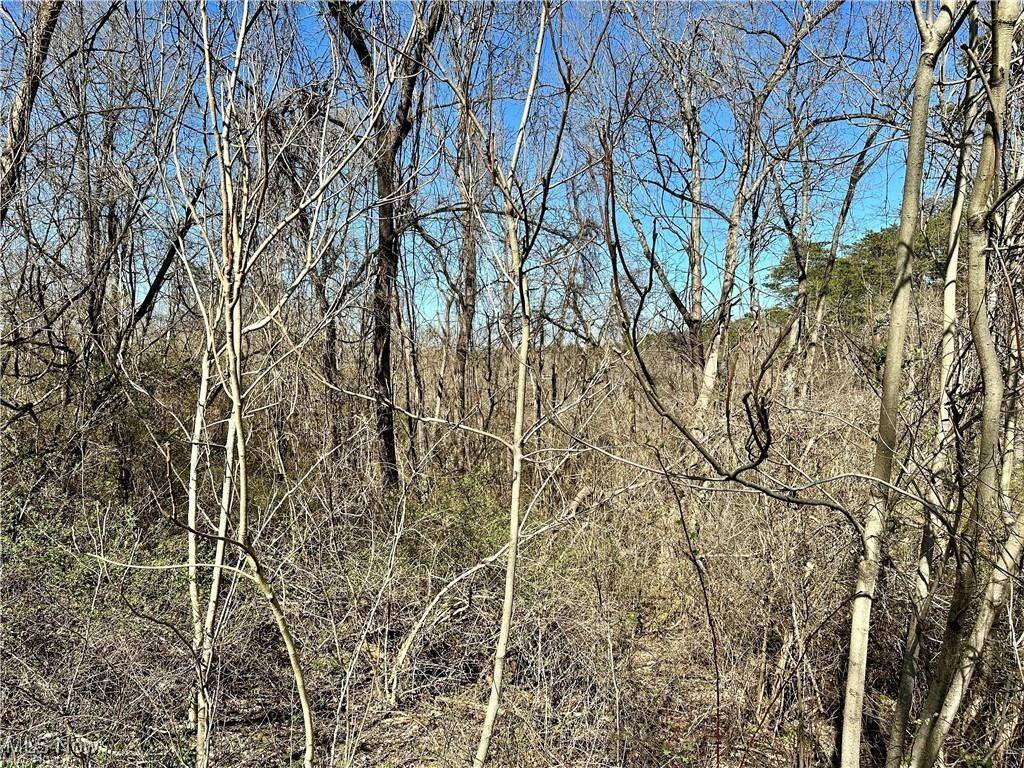 Fleming, OH 45729,0 Fisher Ridge Rd, Tract 6