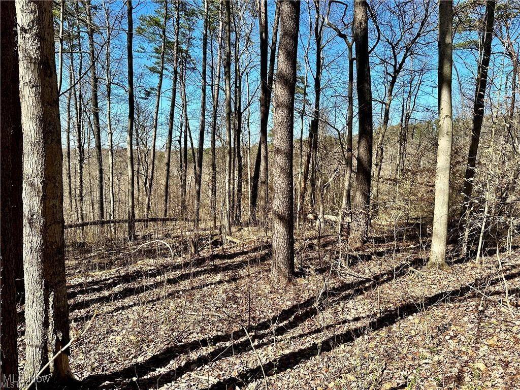 Fleming, OH 45729,0 Fisher Ridge Rd, Tract 7