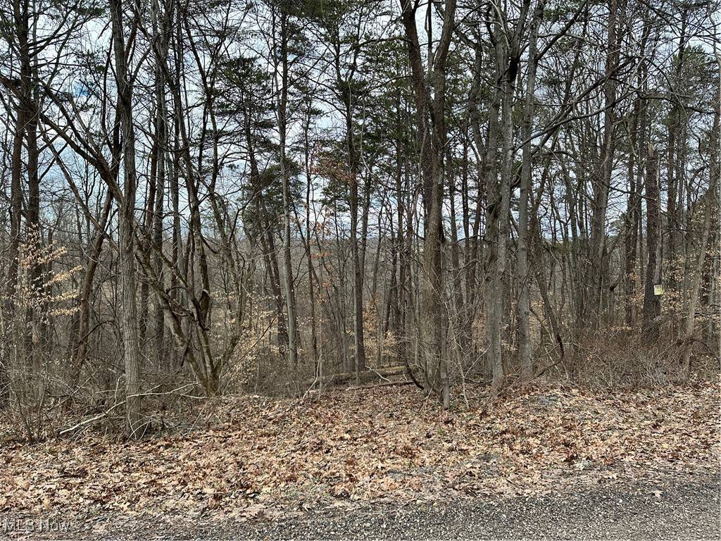 Fleming, OH 45729,0 Fisher Ridge Rd, Tract 7