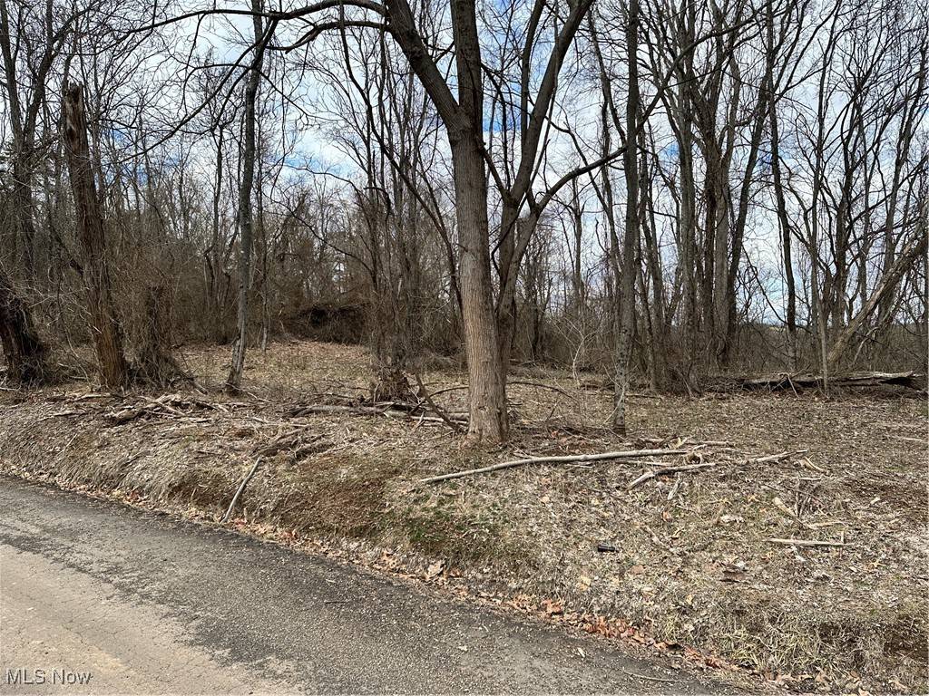Fleming, OH 45729,0 Fisher Ridge RD