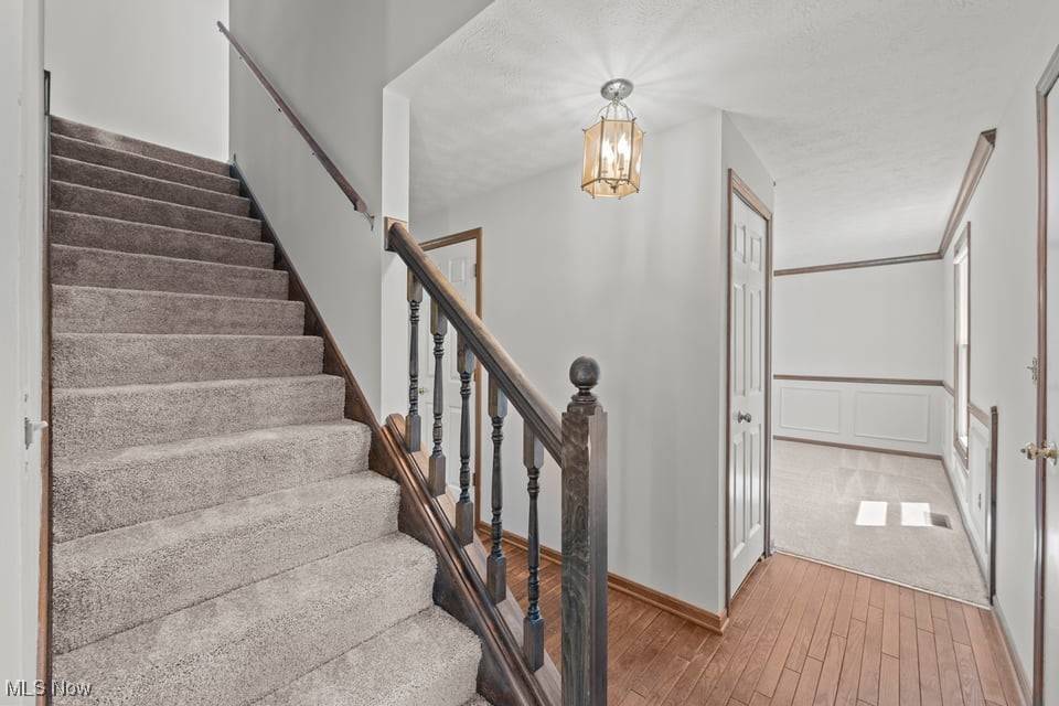 Solon, OH 44139,7124 Hollyhock LN