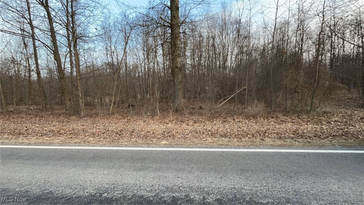 Litchfield, OH 44253,Dunham RD E