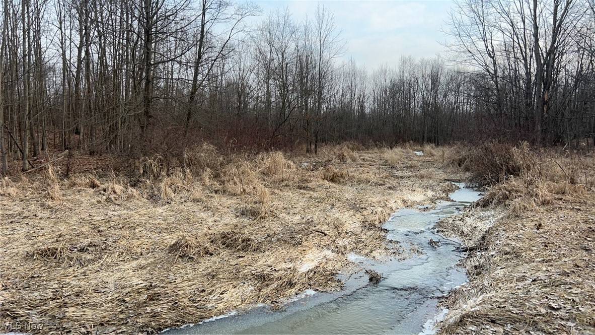 Litchfield, OH 44253,Dunham RD E