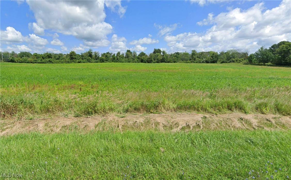 Chippewa Lake, OH 44215,Lot #4 Chippewa RD