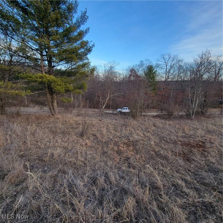 Senecaville, OH 43780,54780 Opossum Run RD #2316-2317