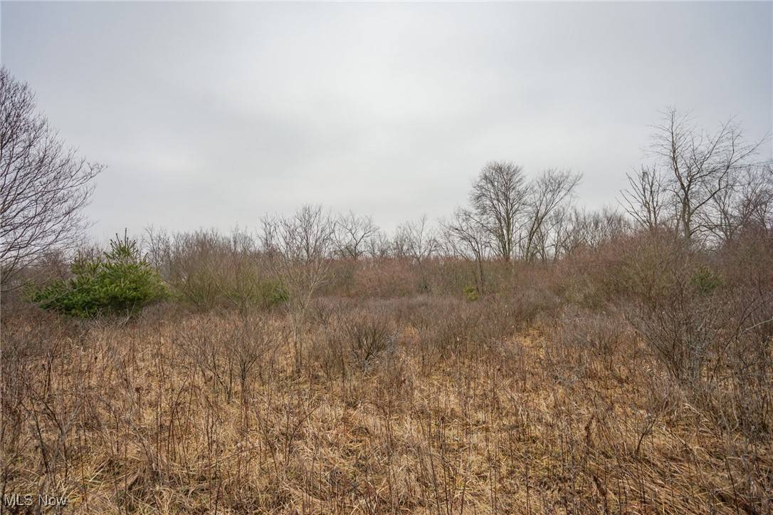 Cumberland, OH 43732,Red Lane Rd