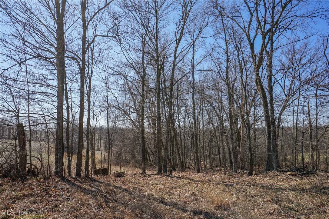 Glenford, OH 43740,Cooks Hill Rd
