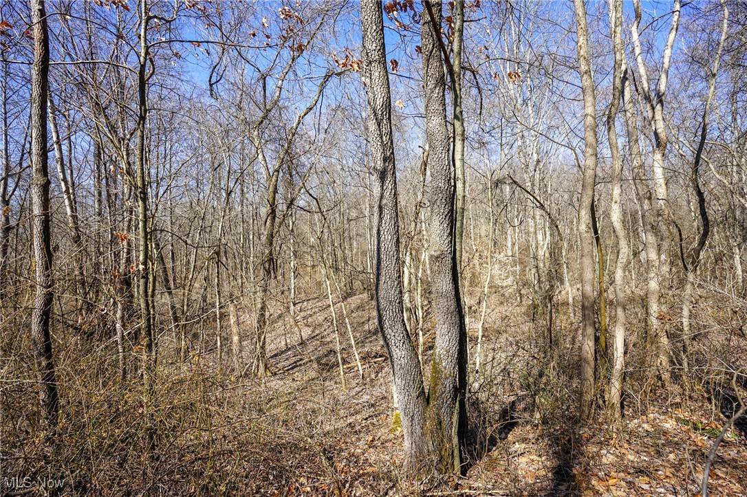 Glenford, OH 43740,Cooks Hill Rd