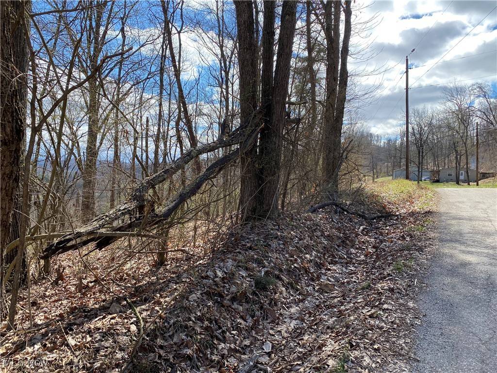 Mineral Wells, WV 26150,0 Bogal Ridge RDG