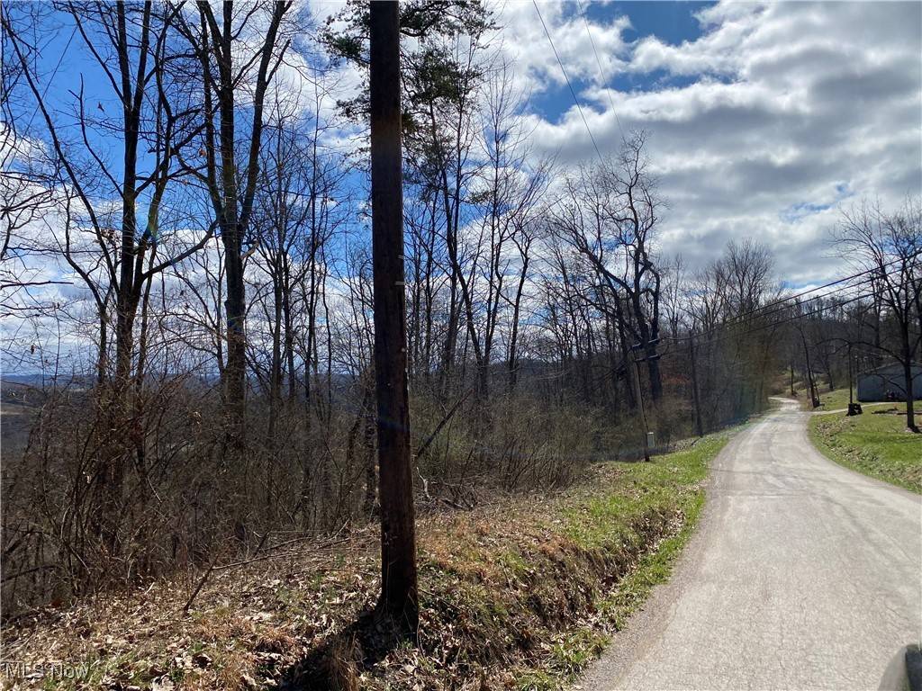 Mineral Wells, WV 26150,0 Bogal Ridge RDG