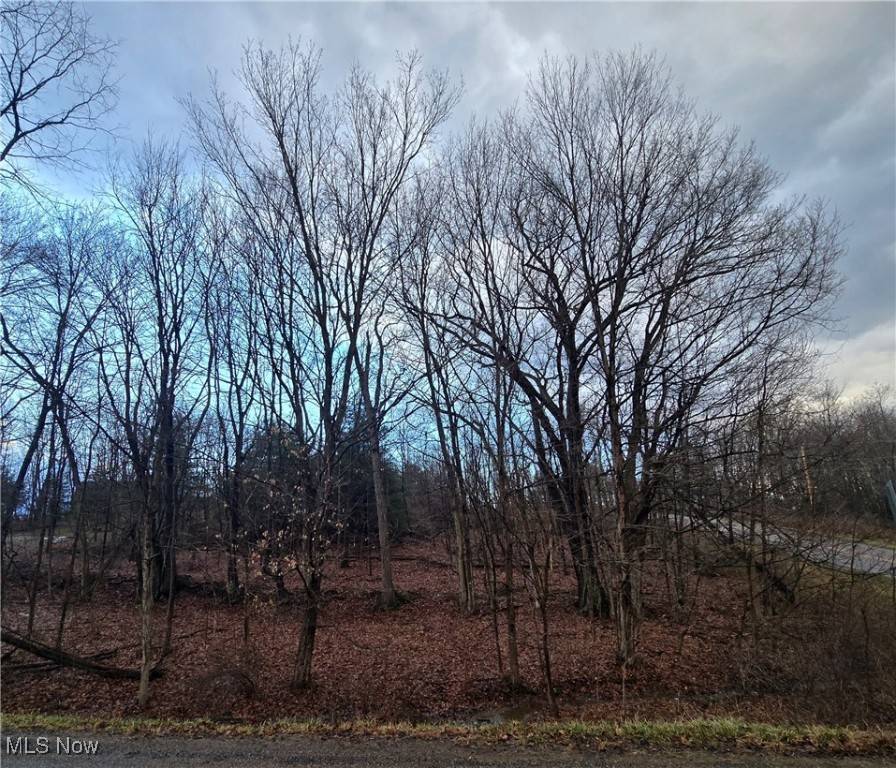 Howard, OH 43028,Apple Valley DR