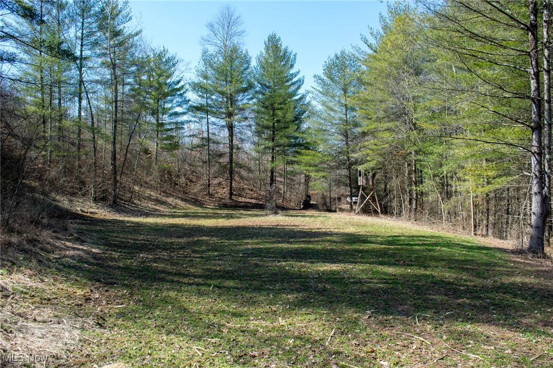 Lowell, OH 45744,Dixon Ridge RD