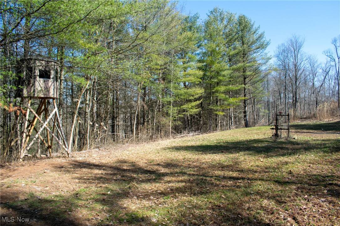 Lowell, OH 45744,Dixon Ridge RD