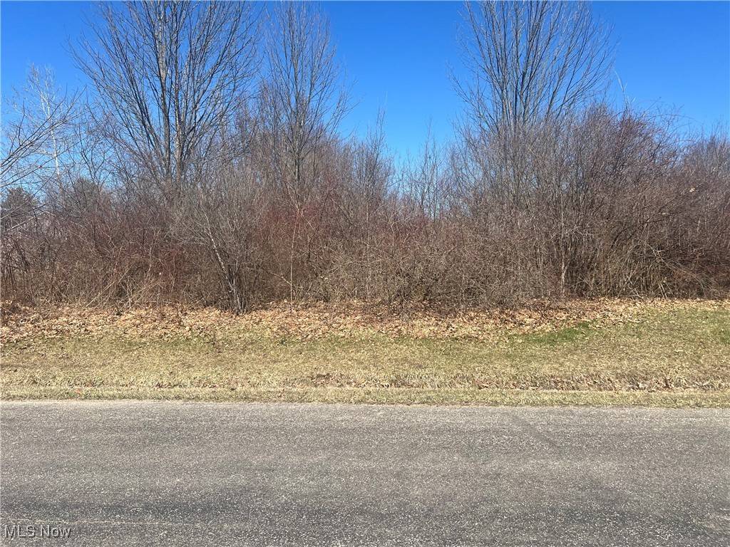Roaming Shores, OH 44084,2488 Tupelo DR