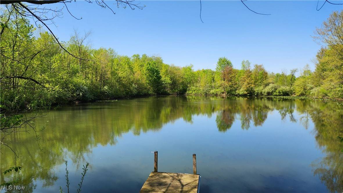 Garrettsville, OH 44231,11466 Bloom RD